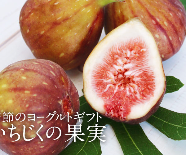 新潟県産いちじく「越の雫」をふんだんに使用したヨーグルトを詰合せ。秋の味覚をお楽しみください。