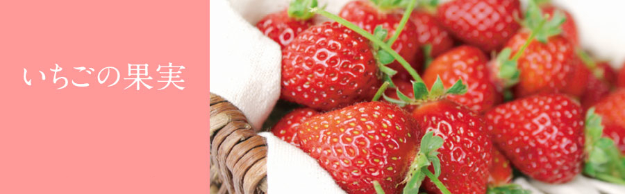 いちごの果実