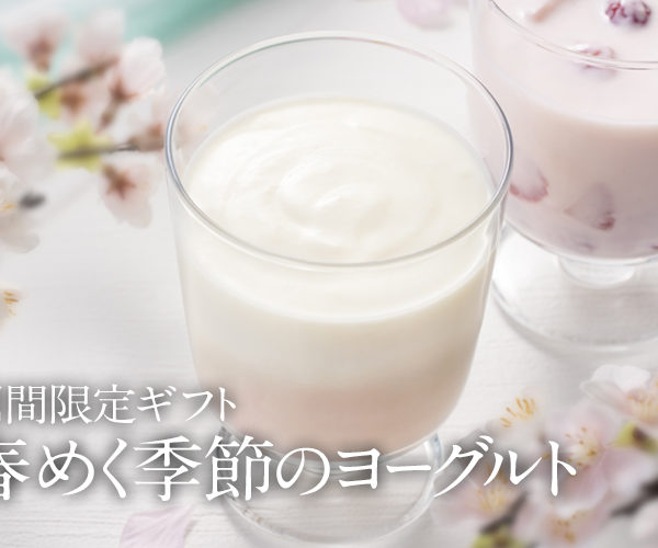 2026「春めく季節のヨーグルトギフト」をリニューアル！春にぴったりの新たな味わいが登場しています。