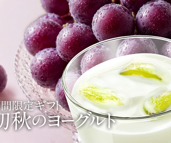 初秋のヨーグルトギフトは今年リニューアル！新登場の「あんずと杏仁」は夏の暑さが残る初秋におすすめの味わいです。